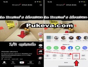 6 Cara Download Video Tiktok Tanpa Watermark