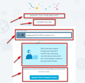 Informasi Website Jika Berhasil Didaftarkan