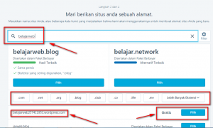 Memilih Nama Untuk Website Anda Pada WordPress