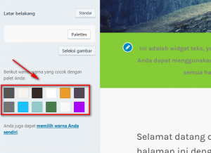 Memilih Warna Latar Belakang Pada WordPress