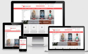 Harga Aplikasi Toko Online Viktor